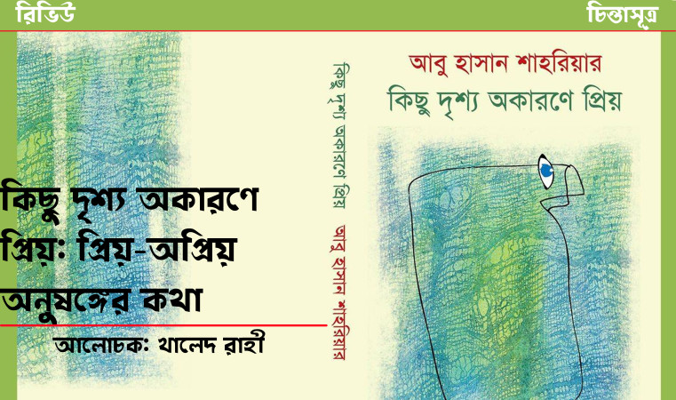 কিছু দৃশ্য অকারণে প্রিয়: প্রিয়-অপ্রিয় অনুষঙ্গের কথা ॥ খালেদ রাহী