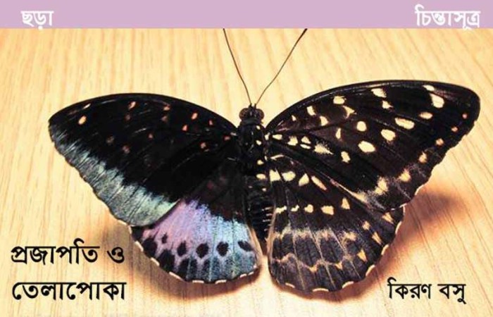প্রজাপতি ও তেলাপোকা ॥ কিরণ বসু