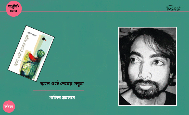 জ্বলে ওঠে দেহের সবুজ ॥ গালিব রহমান