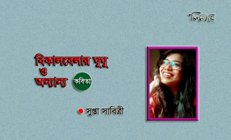 বিকালবেলার ঘুঘু ও অন্যান্য ॥ সুপ্তা সাবিত্রী