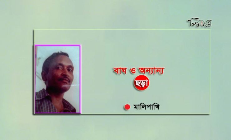 বাঘ ও অন্যান্য ॥ মালিপাখি