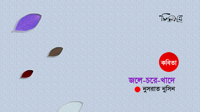জলে-চরে-খাদে ॥ নুসরাত নুসিন